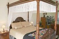 Pepper Tree Ridge B And B - Hotel NSW 3