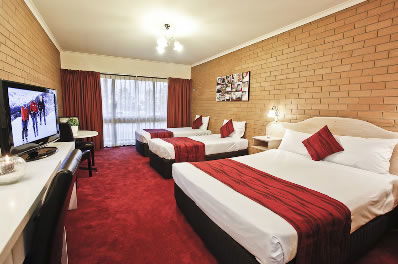 Mildura River City Motel - Hotel NSW 2