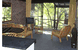 Treetops Resorts - thumb 3
