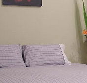 Stingo Hotel - Hotel NSW