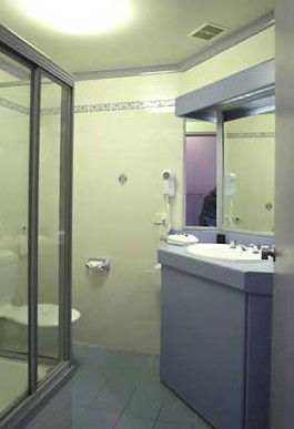 Palm Court Motor Inn - Hotel NSW 3