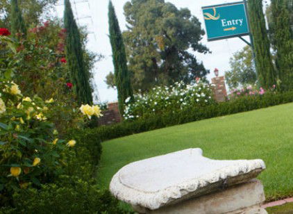 Carriage House Motor Inn - Hotel NSW 2