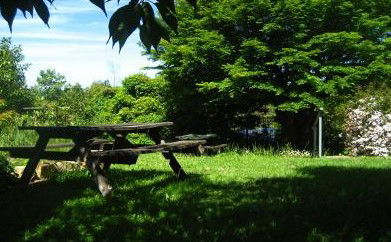The Cecil Guest House - Hotel NSW 5