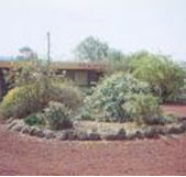 Beaufort Motel - Hotel NSW