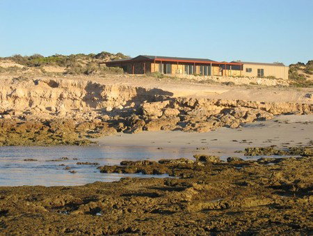 Tiliqua Sunrise - Hotel NSW 3