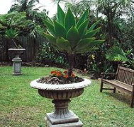 Bangalow Retreat - Hotel NSW
