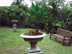 Bangalow Retreat - Hotel NSW 0