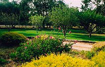 Naracoorte Cottages - Pinkerton Hill - Hotel NSW 2