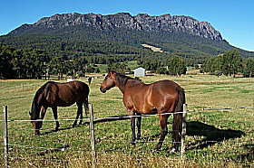 Hurlfield Farm Cottage - Hotel NSW 0
