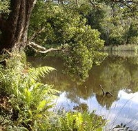 Weldborough Camping Ground - Hotel NSW