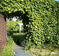 Kirra Guest House - Hotel NSW