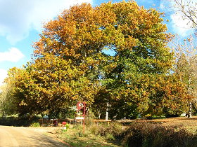 Red Rooster Host Farm - Hotel NSW 0