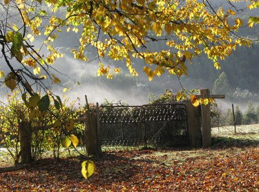 Red Rooster Host Farm - Hotel NSW 2