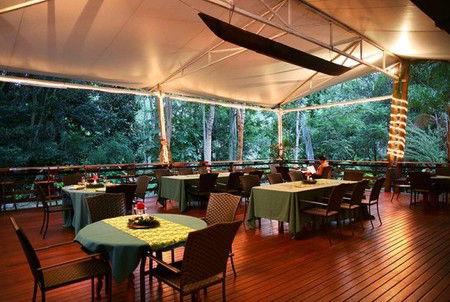 Cedar Park Rainforest Resort - Hotel NSW 5