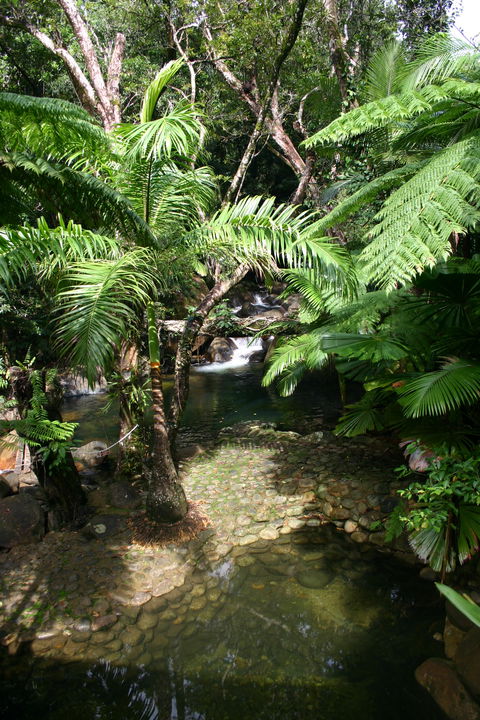 Daintree Secrets (Award Winning Retreat) - Hotel NSW 4
