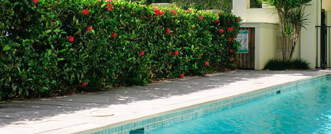 Cairns Beachfront Apartment - Hotel NSW 5