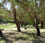 Woods Reserve - Hotel NSW