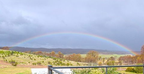 Tarrangower Holiday Home - Hotel NSW 5