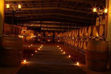 Warrenmang Vineyard & Resort - Hotel NSW 5