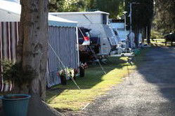 Badgee Park - Hotel NSW 2