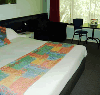 Poinciana Motel - Hotel NSW