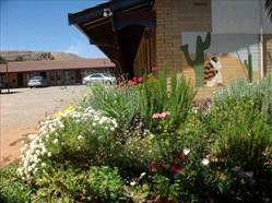 Silver Spade Motel - Hotel NSW 3