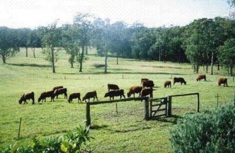 Bella Vista Cottage - Hotel NSW 1