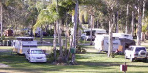 Brigadoon Holiday Park - Hotel NSW 2