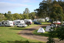 Dawson River Tourist Park - Hotel NSW 1