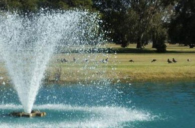 Howlong Country Golf Club & Motel - Hotel NSW 5