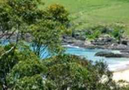 Aqua Bamboo - Hotel NSW 0