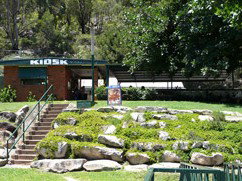 Carinya Ski Ranch - Hotel NSW 4