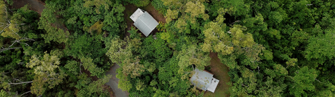 Rainforest Ranch - Hotel NSW 5