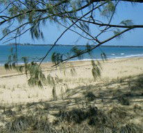Seawinds Caravan Park - Hotel NSW 1