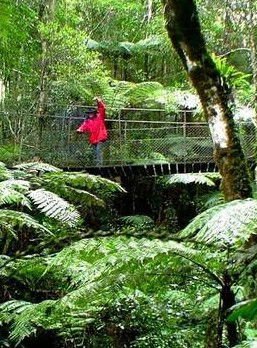 Katandra Mountain Farm House - Hotel NSW 2