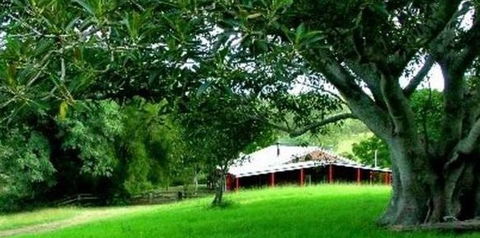 Katandra Mountain Farm House - Hotel NSW 5