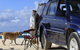 Straddie Holiday Parks - thumb 0