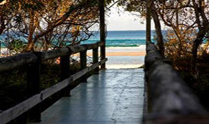 Anchorage Beachfront Island Resort - Hotel NSW 4