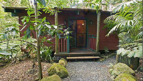 Springbrook Lyrebird Retreat - Hotel NSW 0