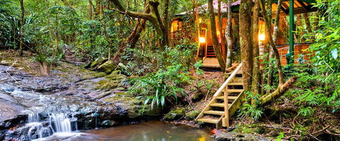 The Mouses House - Rainforest Retreat - Hotel NSW 0