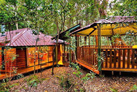 The Mouses House - Rainforest Retreat - Hotel NSW 4