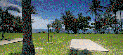 Book Kurrimine Beach Accommodation Vacations Hotel NSW Hotel NSW