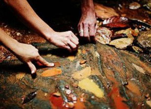 Daintree Eco Lodge And Spa - Hotel NSW 0