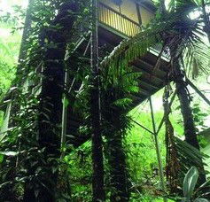 Daintree Eco Lodge And Spa - Hotel NSW 1