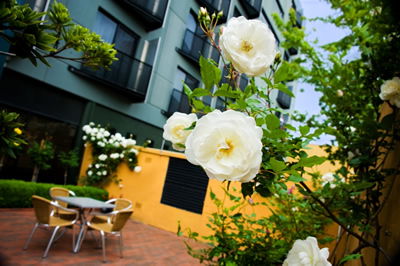 The Old Woolstore Apartment Hotel - Hotel NSW 5