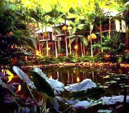 Daintree Eco Lodge And Spa - Hotel NSW 3