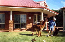 Nillup WA Hotel NSW