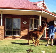 Brilea Cottages - Hotel NSW