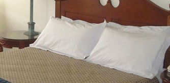 Canterbury International Hotel - Hotel NSW 2