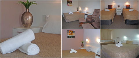 Blue Pelican Motor Inn - Hotel NSW 1